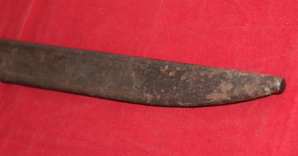 鬼*管様 貝 まとめ売り 【公式通販】