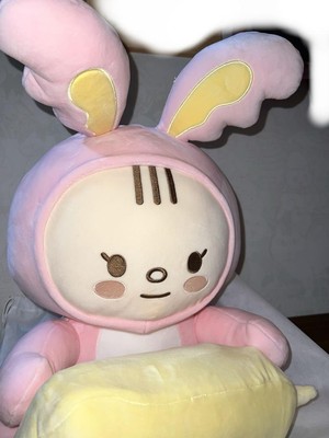 SEVENTEEN JEONGHAN Artist Made Collection Plush PLUFFY TORAM