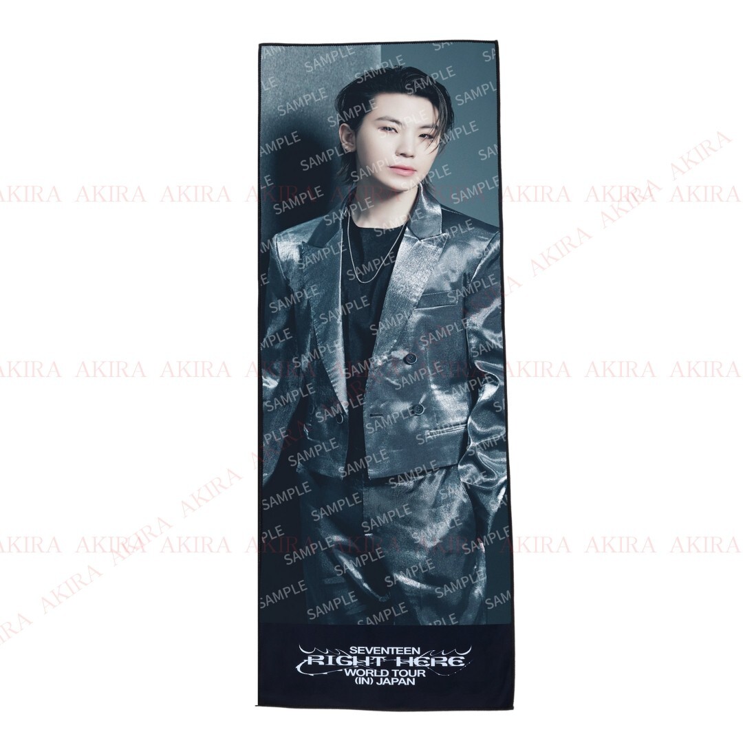 SEVENTEEN RIGHT HERE ビッグフォトタオル ウォヌ SEVENTEEN RIGHT