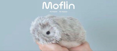 AIペット Moflin モフリン シルバー カシオのAIペット moflin(モフリン