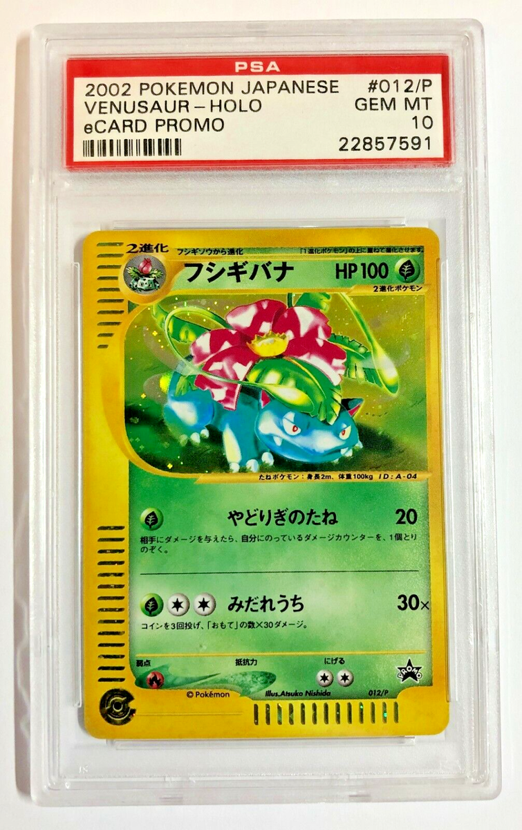 PSA10】耐え抜くもの、母聖樹 ボーダーレス セットブースターfoil Foil