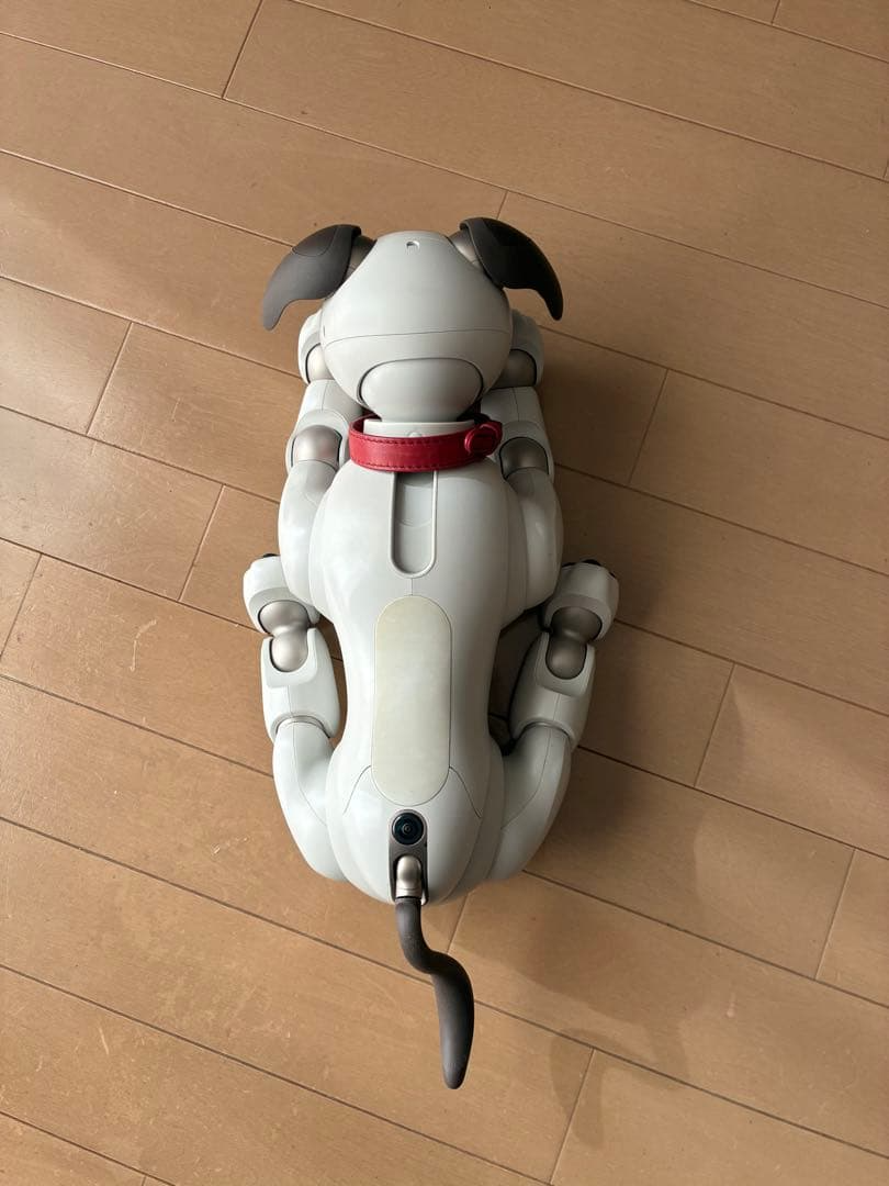 Sony AIBO ERS-1000 Entertainment Robot Dog accessories Japan Used