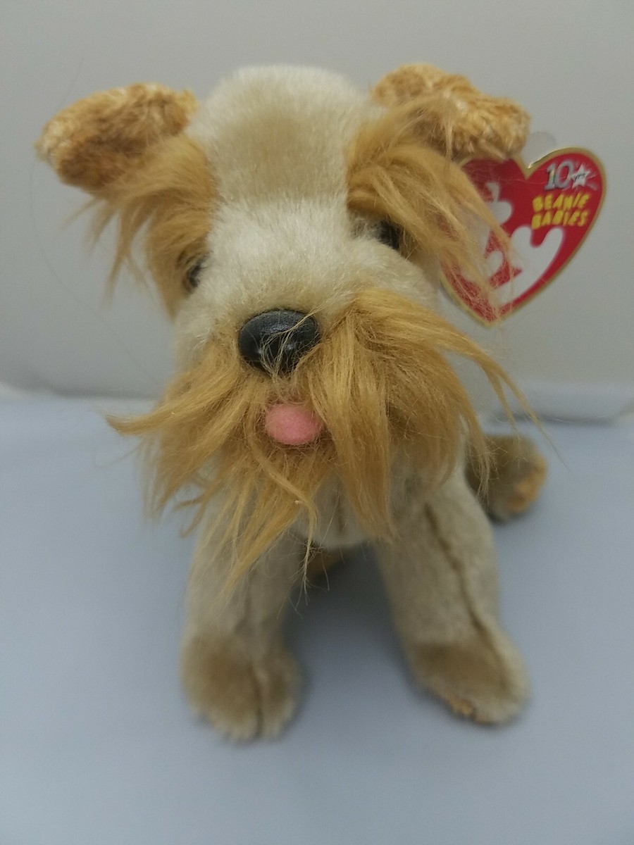 2月6日誕生日○マサチューセッツ○Ty ビーニーズ Beanie Baby 2月6日