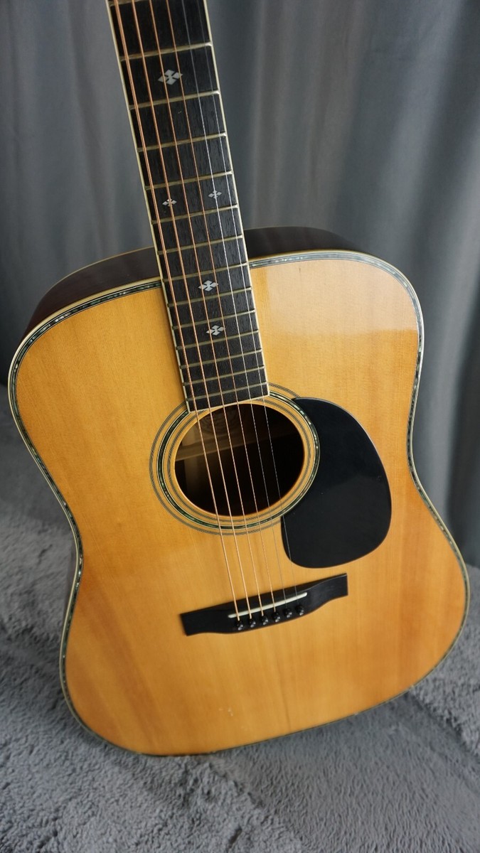 Morris W-50 アコースティックギター Morris W-50 単板トップ