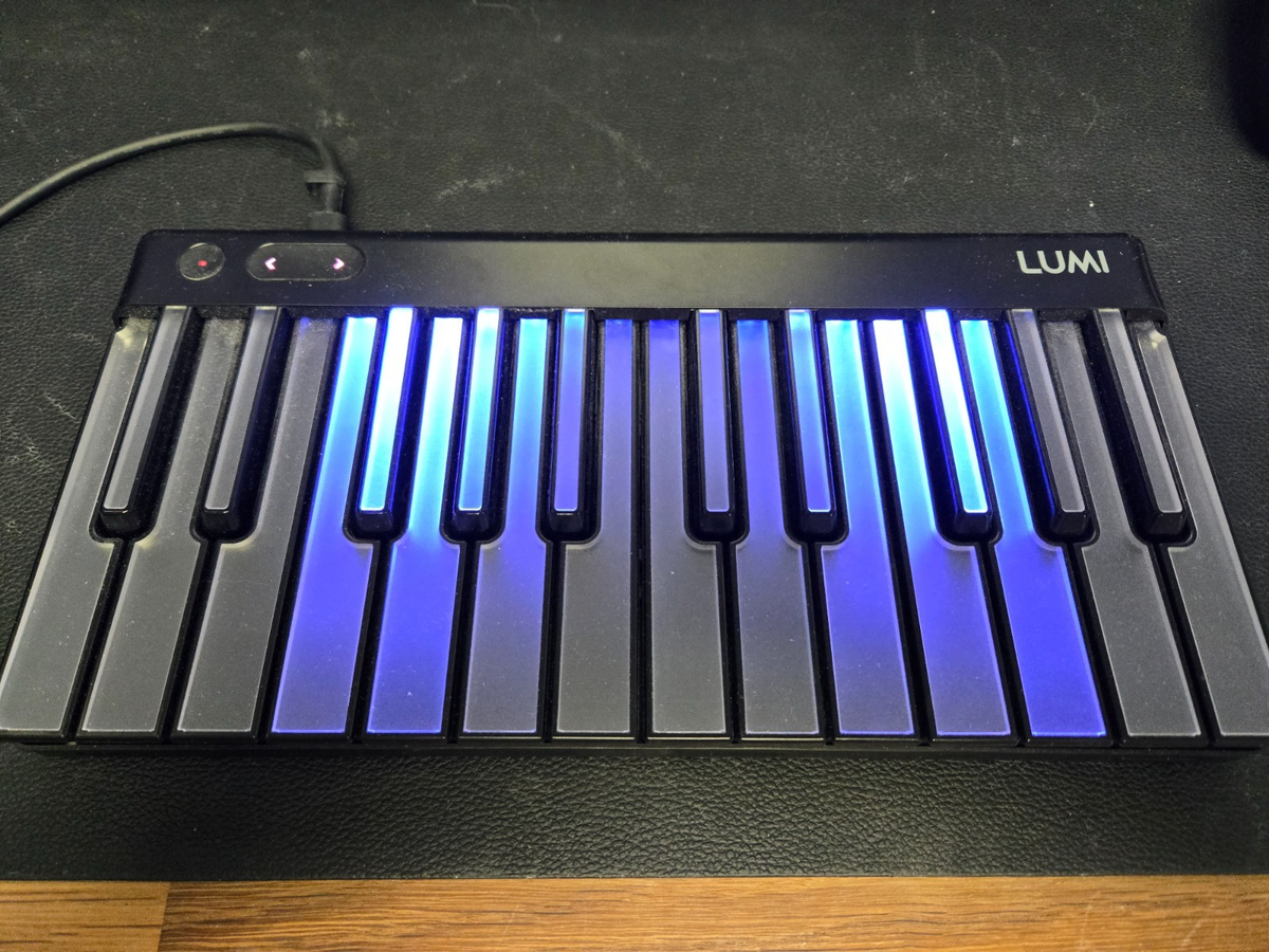 Roli LUMI Keys MIDIキーボード Snapcase付き Roli LUMI Keys MIDI