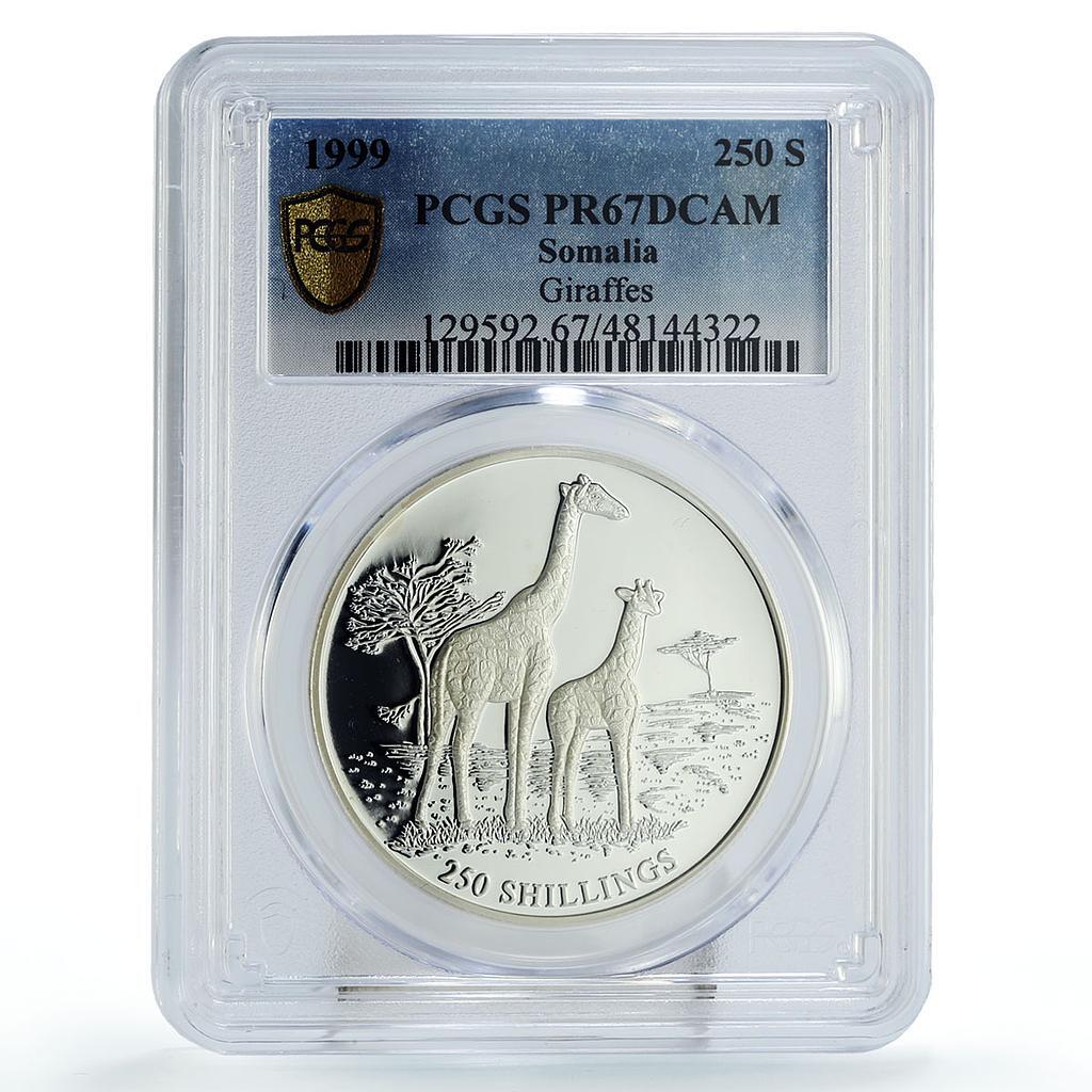 Somalia 250 shillings Conservation Giraffes Fauna PR67 PCGS silver