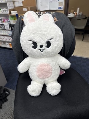 A*♡様 テディベア ぬいぐるみ teddybear SKZOOリービット Le