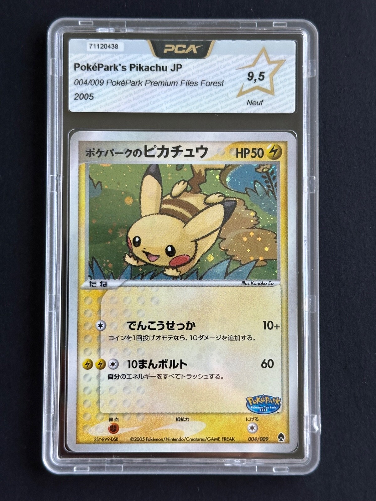 ポケパークのピカチュウ ポケパークプレミアムファイル 004/009