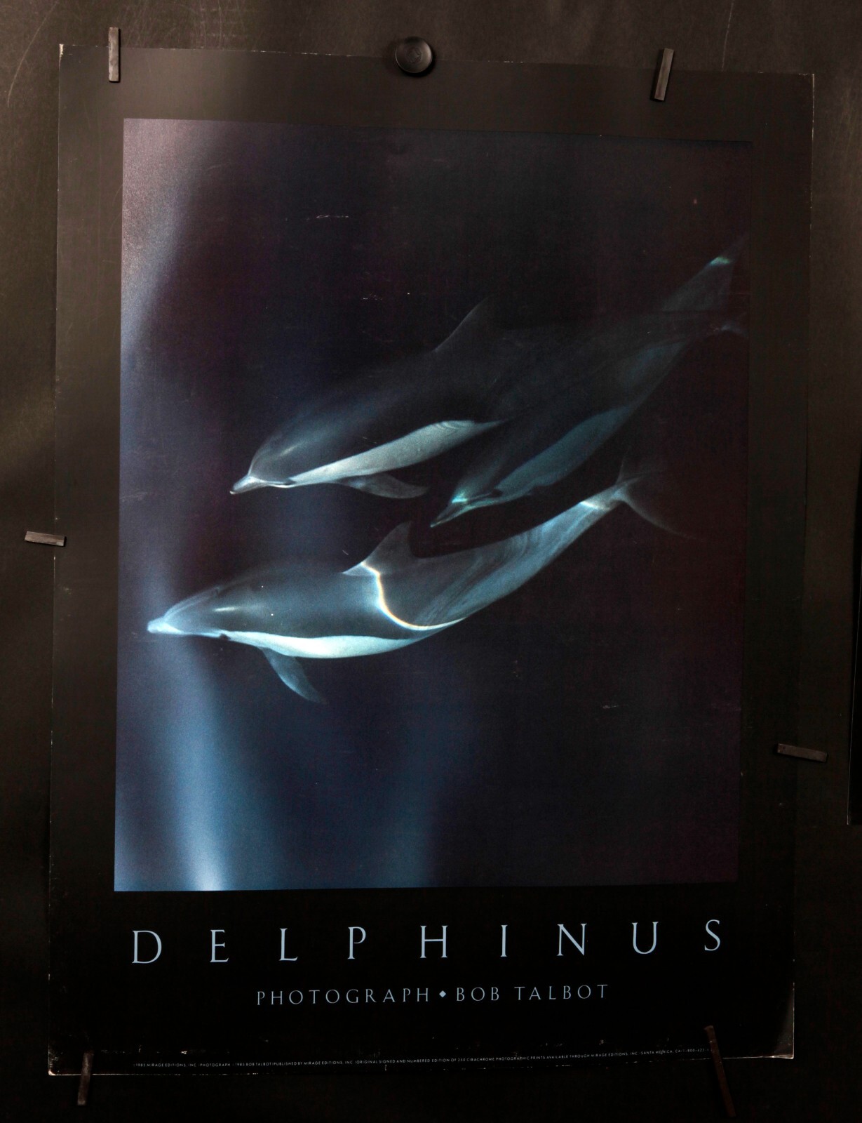 Bob Talbot 80s vintage poster 6種セット Bob Talbot 80s vintage