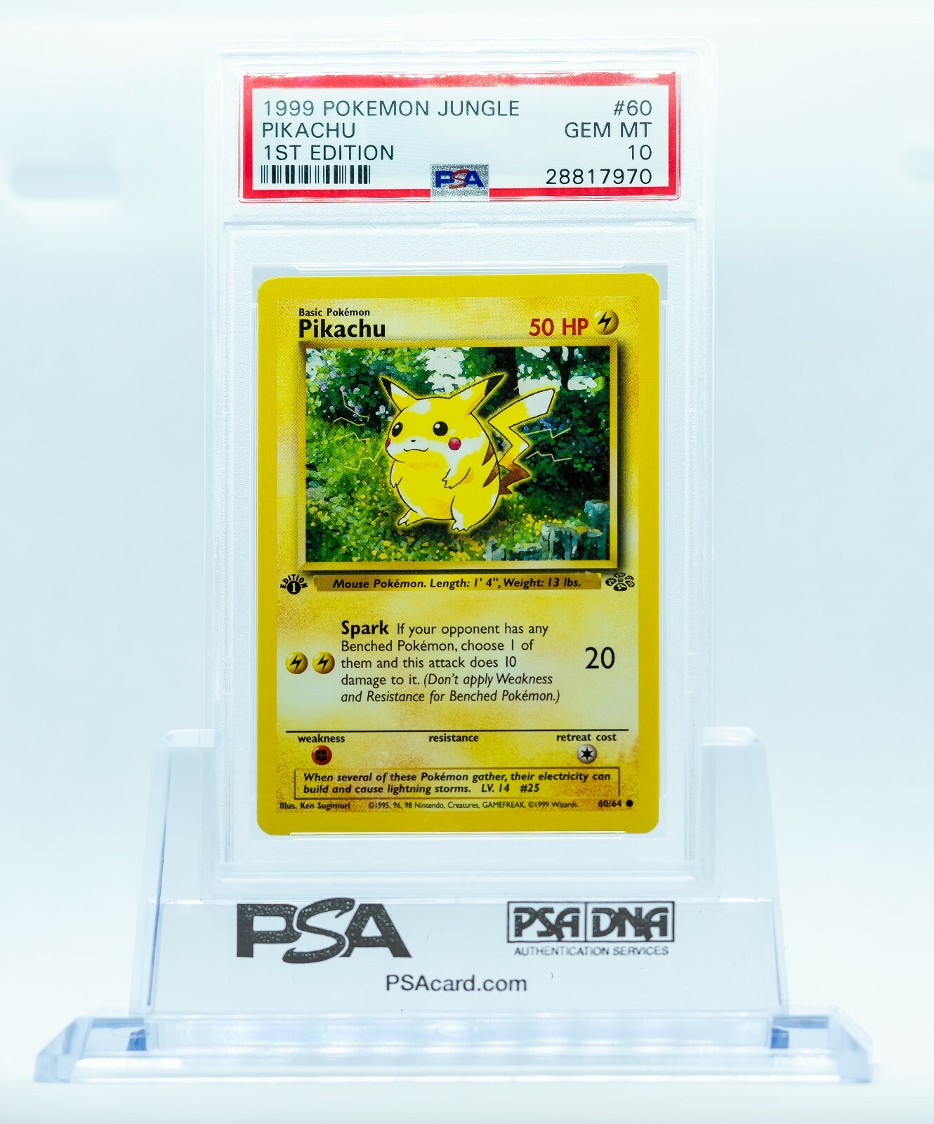 PSA10ヤマドラン 初期 1999 PSA10ヤマドラン 初期 1999 PSA10