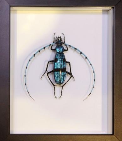 ベネチアンガラス巨匠ヴィットリオコスタンティーニMuranoトンボ