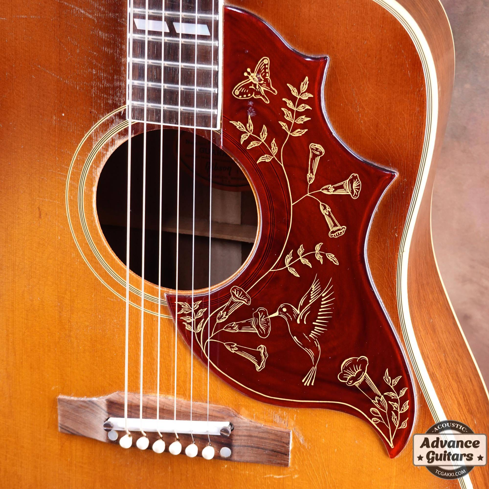 美品カントリーしようぜ！by Gibson モーリスハミングバードWDエレアコ