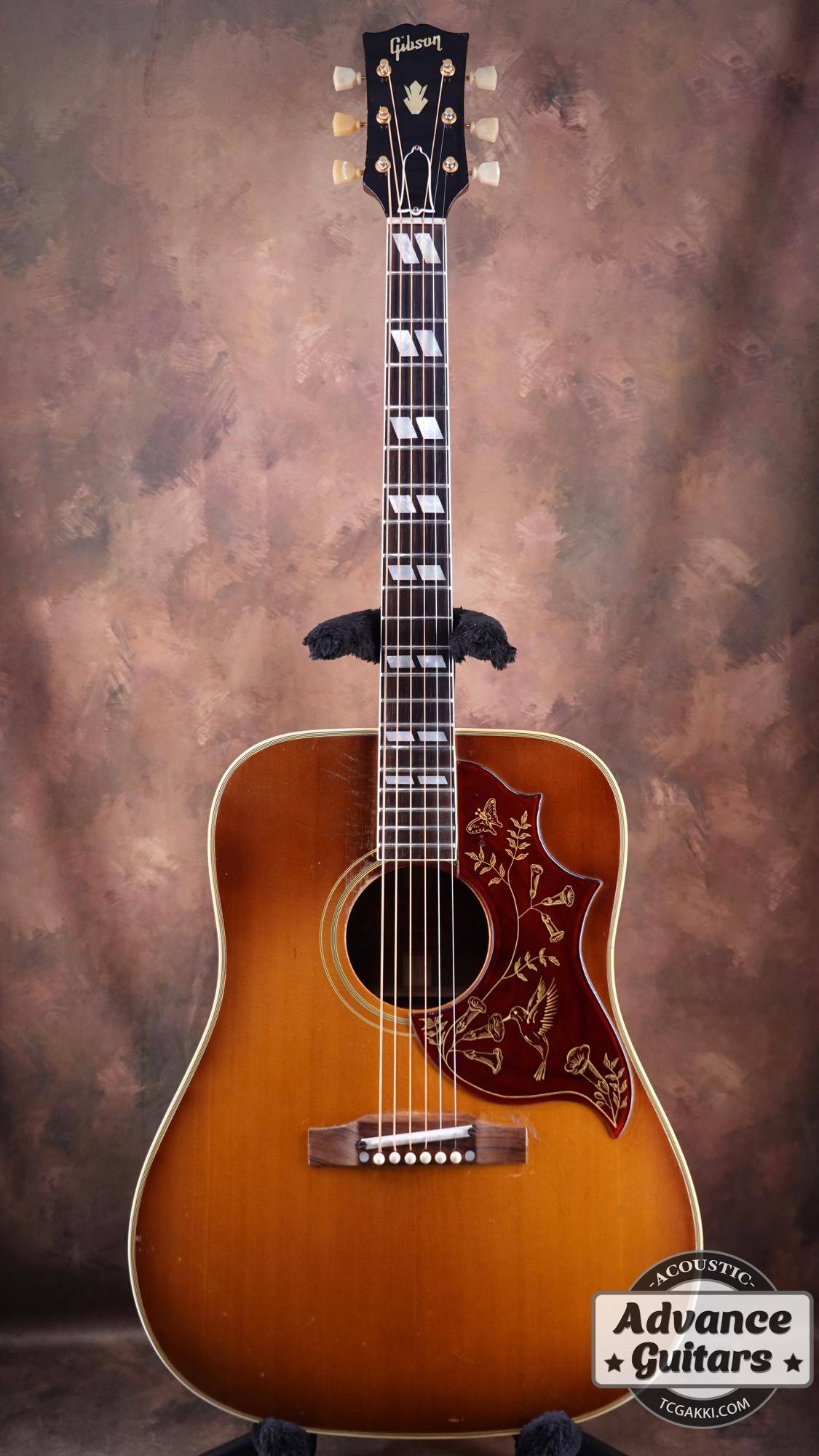 美品カントリーしようぜ！by Gibson モーリスハミングバードWDエレアコ