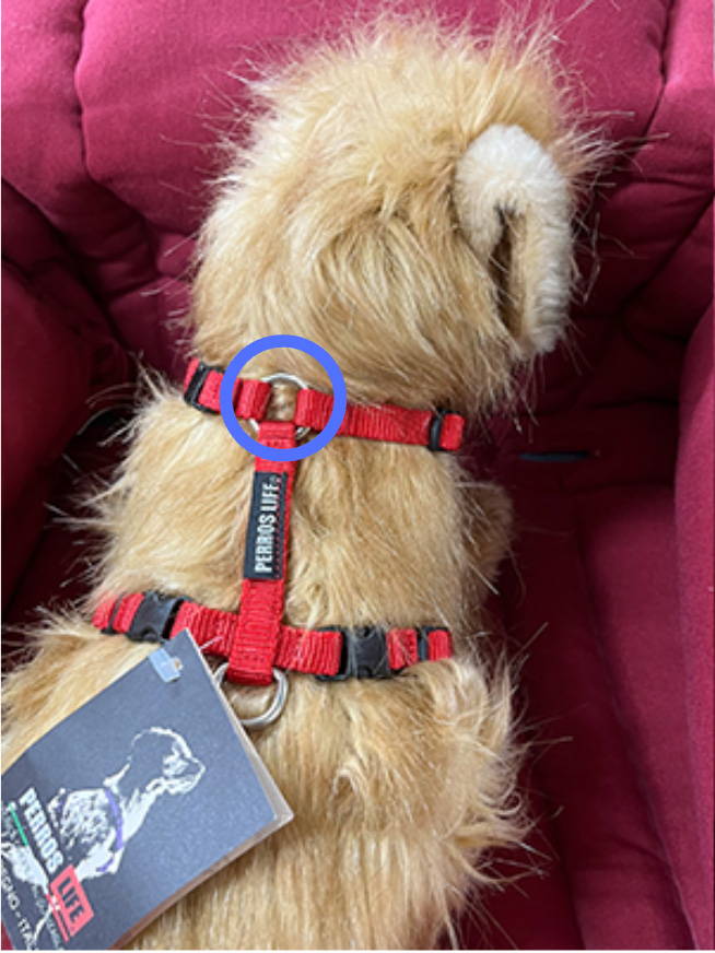 ペルロス犬用ハーネス【モカブロッサム＆ロイヤルルージュ】数量限定