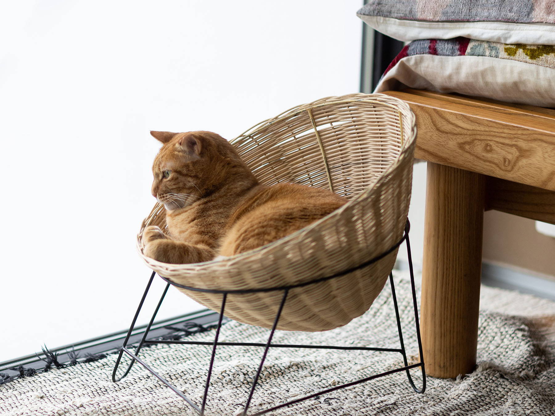 オルネドフォイユ オルネコ スタンドバスケット 【美品】 最高