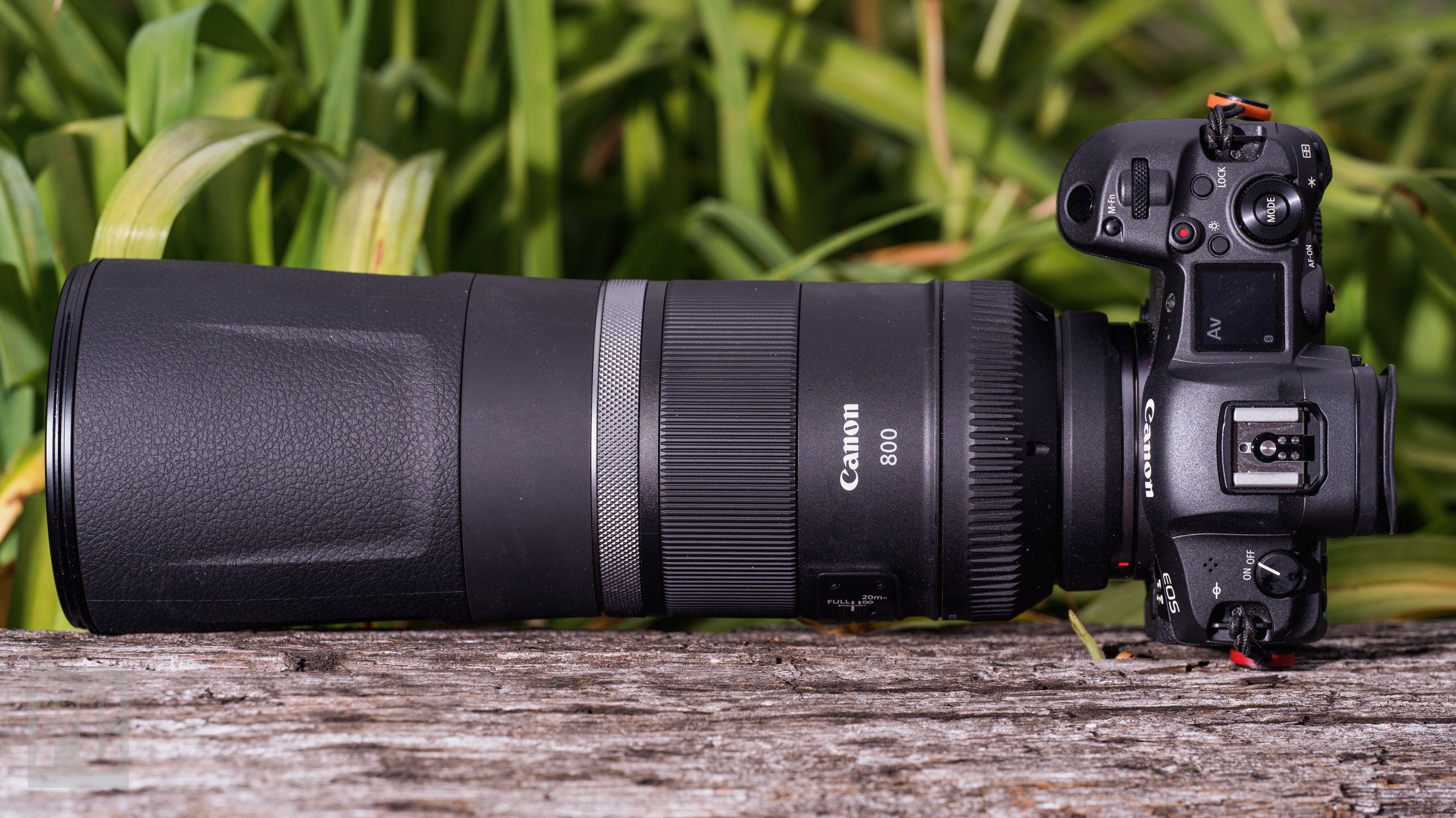 Canon RF 800mm F11 IS STM Review | PCMag