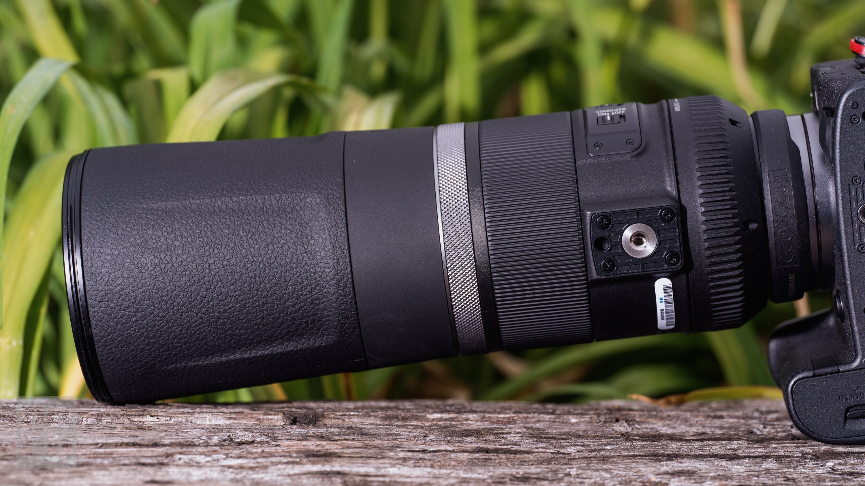 Canon RF 800mm F11 IS STM - Review 2021 - PCMag Australia