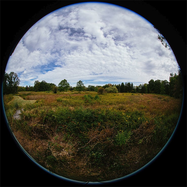 Canon EF 8-15mm f/4L Fisheye USM Review | PCMag