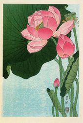 日本画」のアイデア 15 件 | 日本画, 蓮の花, アジアのアート