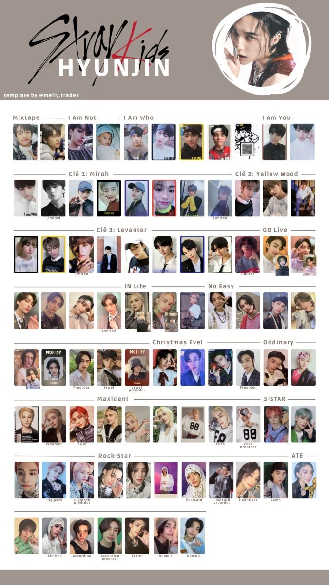 公式)Stray Kids ヒョンジン トレカ IN生 SUBK 店舗特典 スキズ