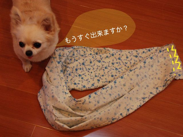 ドッグスリング』