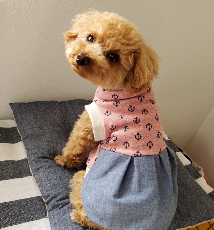 tama様専用 ハンドメイド犬服 【公式通販】