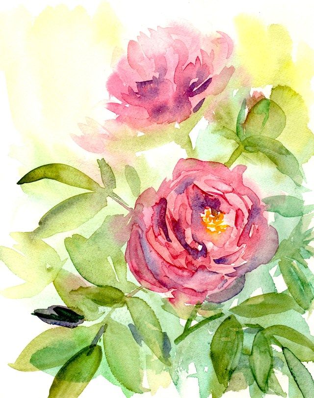 油絵専用ももいろのしゃくやく