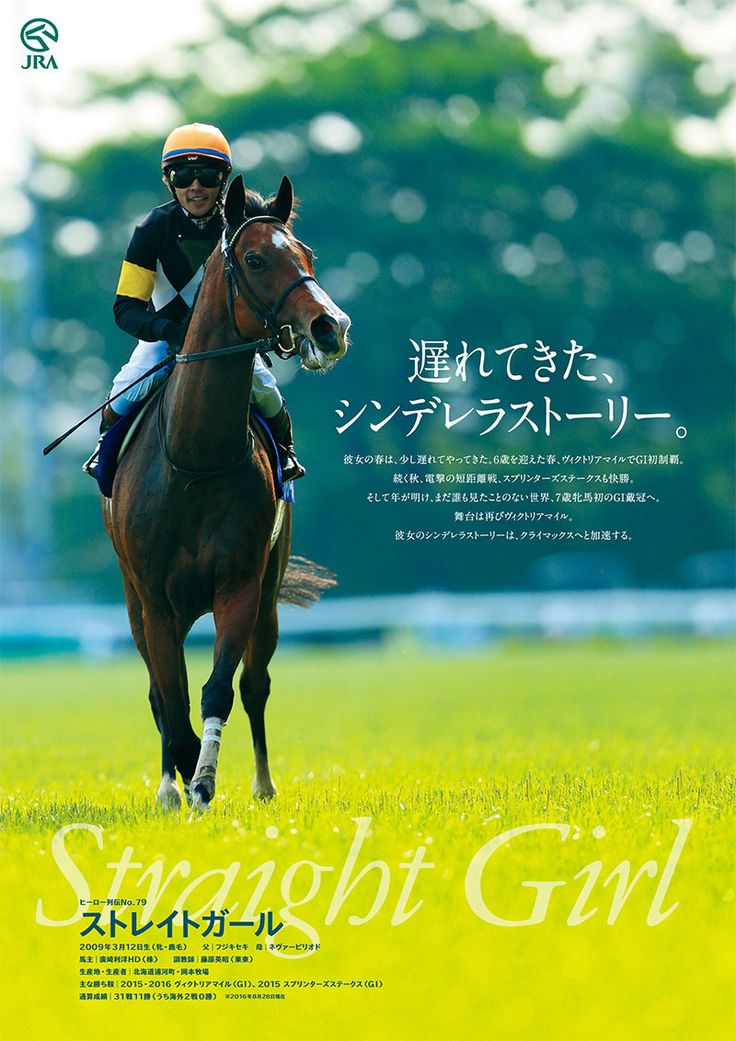 キダサンブラック ポスター ヒーロー列伝 B1 キダサンブラック