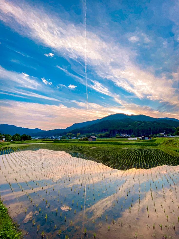 17 件の「夏」のアイデアを今すぐ保存 | 風景 イラスト、風景、背景