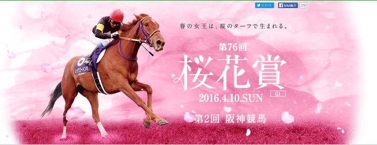 JRA 競馬 馬写真（額入り） 満花 Amazon.co.jp: アーモンドアイ 桜花賞
