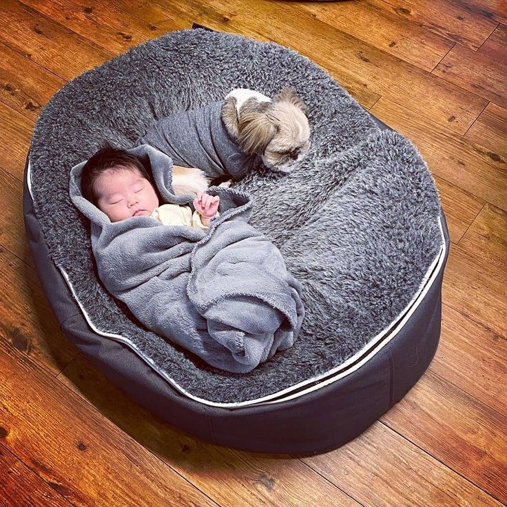 ambient lounge ファー付きクッション オーバル型 愛犬と家族と極上の