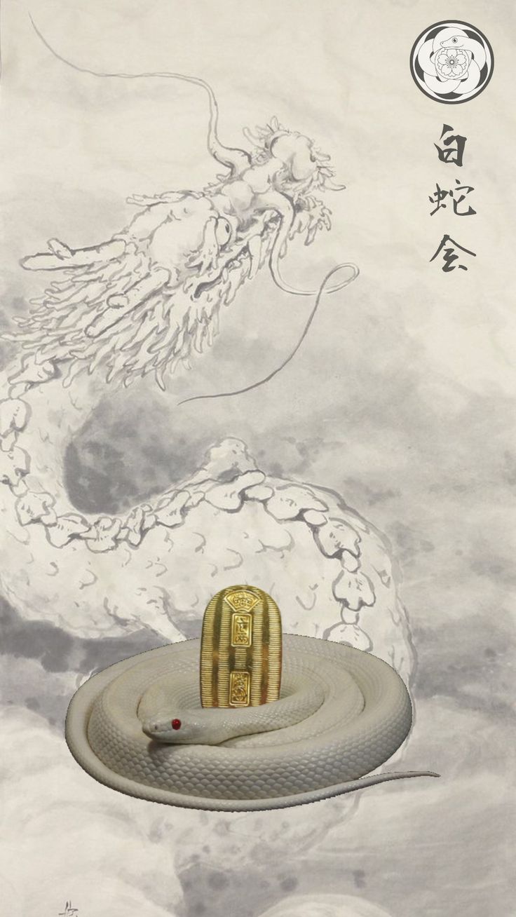美品! 金運 開運 龍神様 白蛇 掛軸 おもてなし 絵 龍脈 富士山水 中国風水