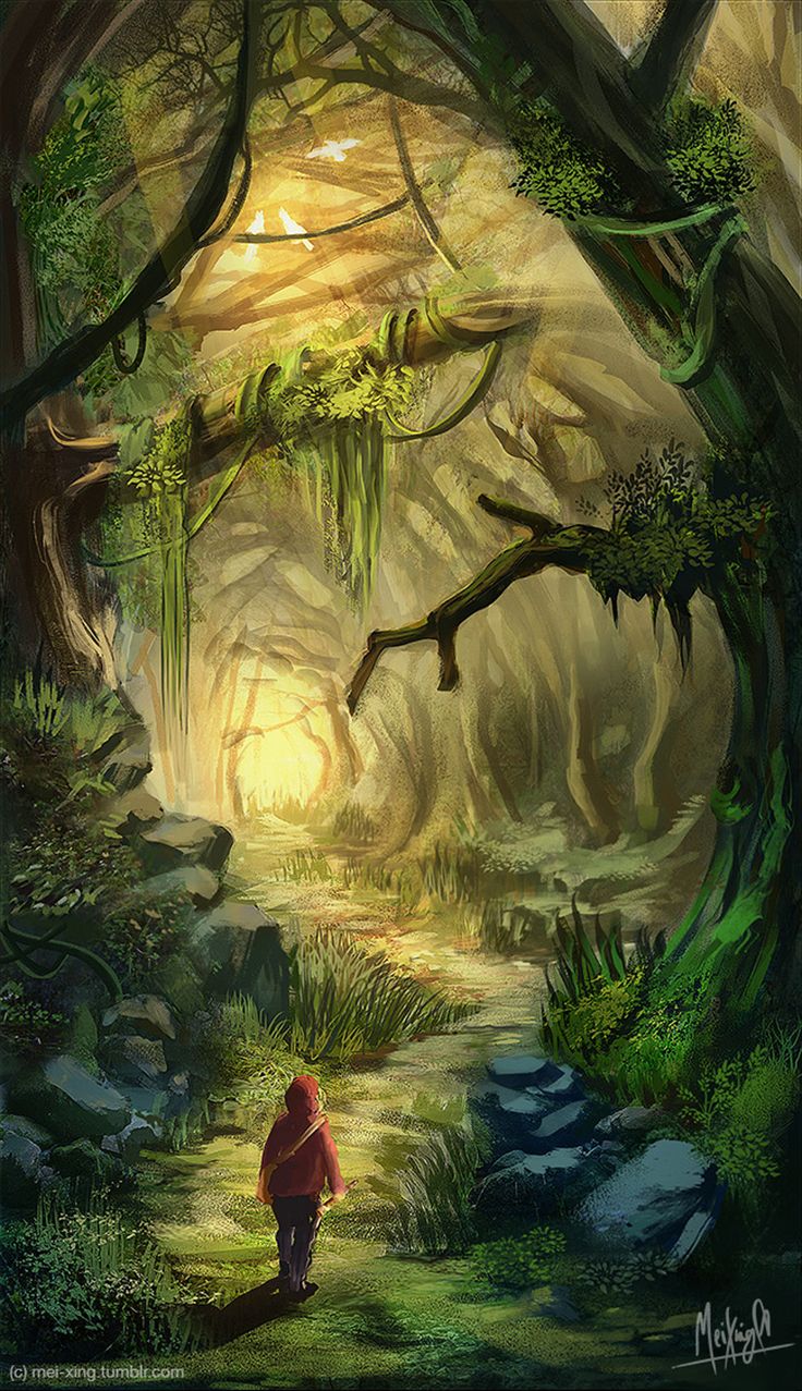 幻想的な森林の風景 Lサイズ アート写真 幻想的な森林の風景