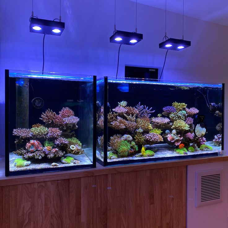 30cm 水槽用ホワイトコーラル型石 レイアウト済 人口ライブロック サンゴ