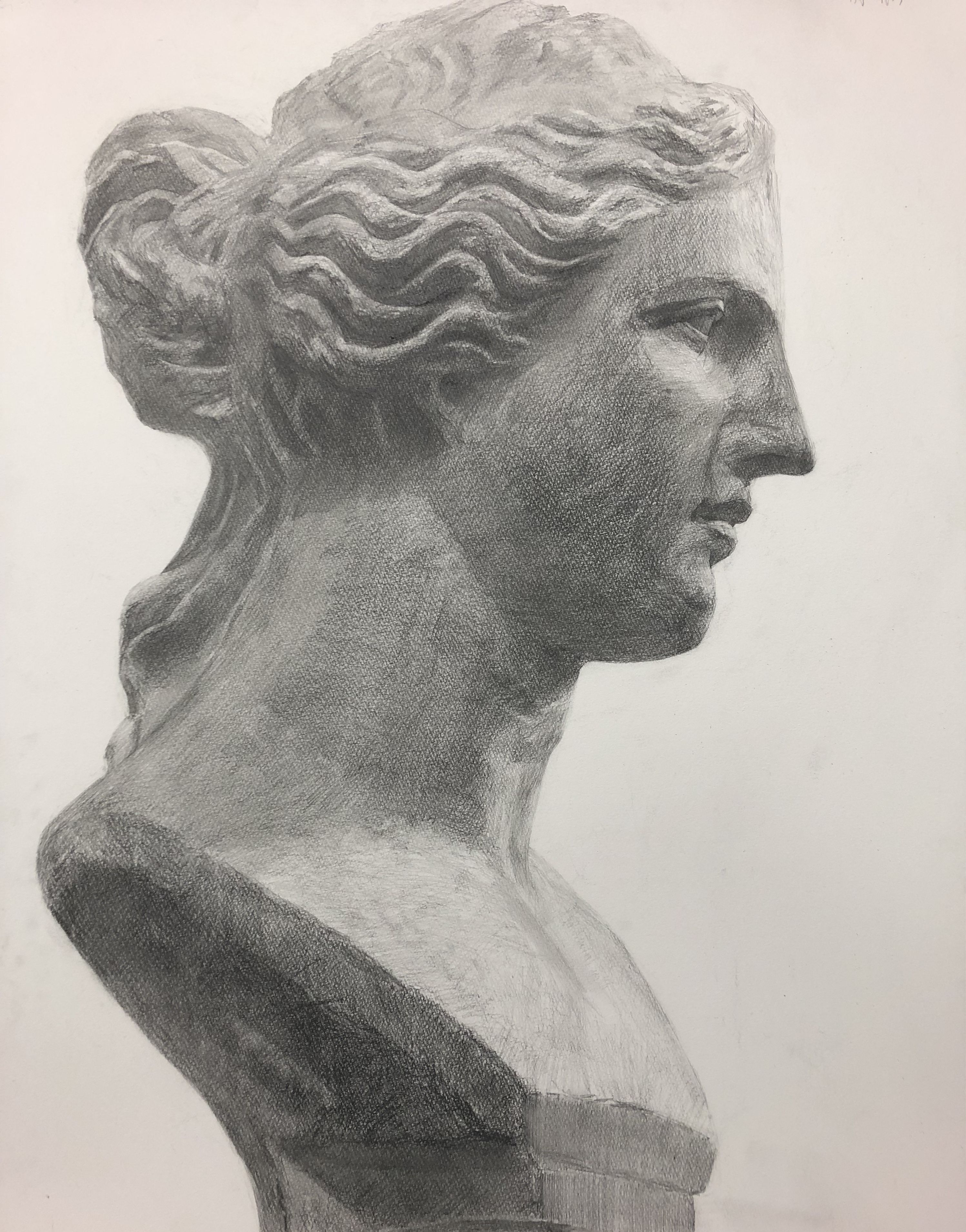 石膏像デッサンあばたのヴィーナス