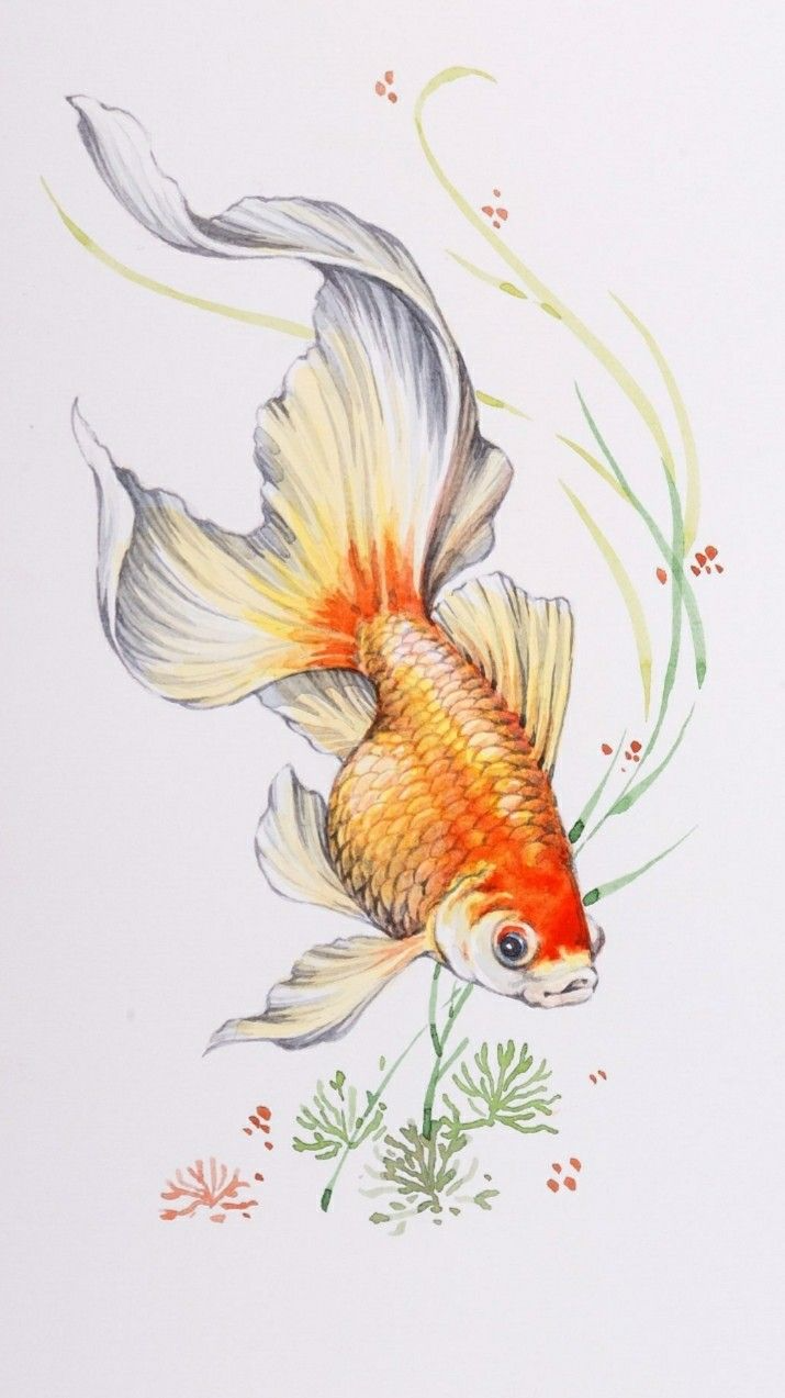はじけてgoldfishアクリル画 アクリル絵の具 アート 金魚 水槽 絵画