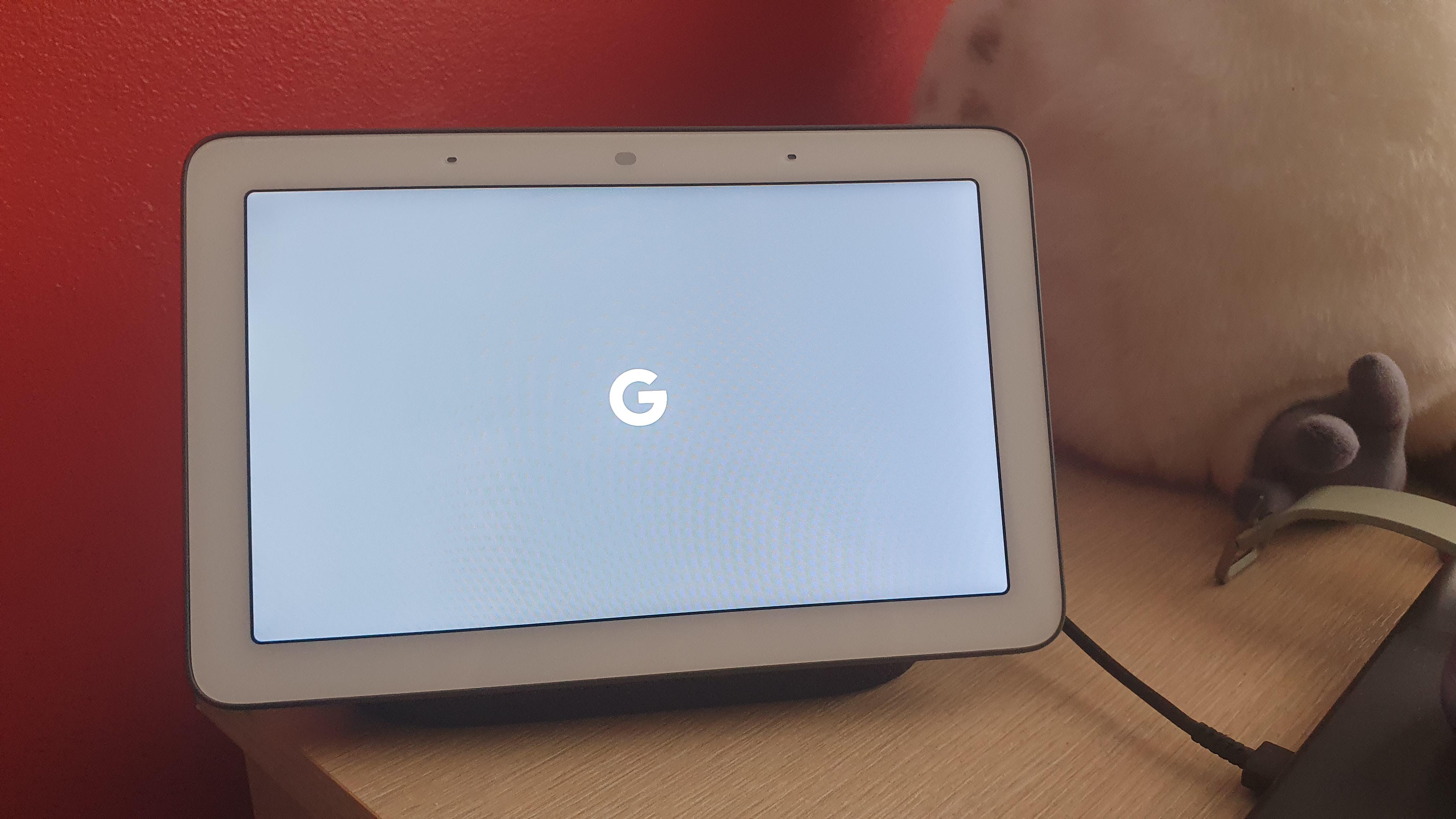 Google Nest Hub (第1世代) がこの画面から動かなくて、マジで