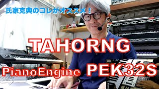 DTM・DAW TahornG PianoEngine FE 128 TahornG PianoEngine FE 128