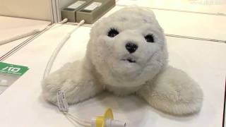 メンタルコミットロボット「パロ」 : DigInfo - YouTube