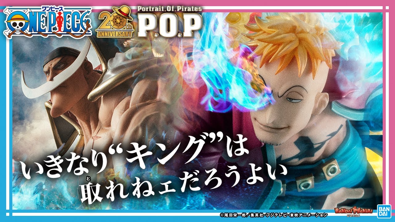 Marco, the 1st Division Commander of the Whitebeard Pirates, joins