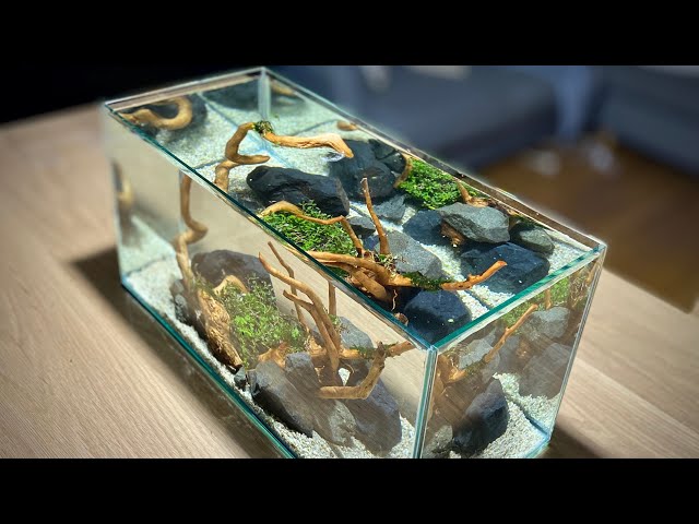水槽 ADA WABIKUSA BASE No Soil! Simple Nano Aquascape Setup