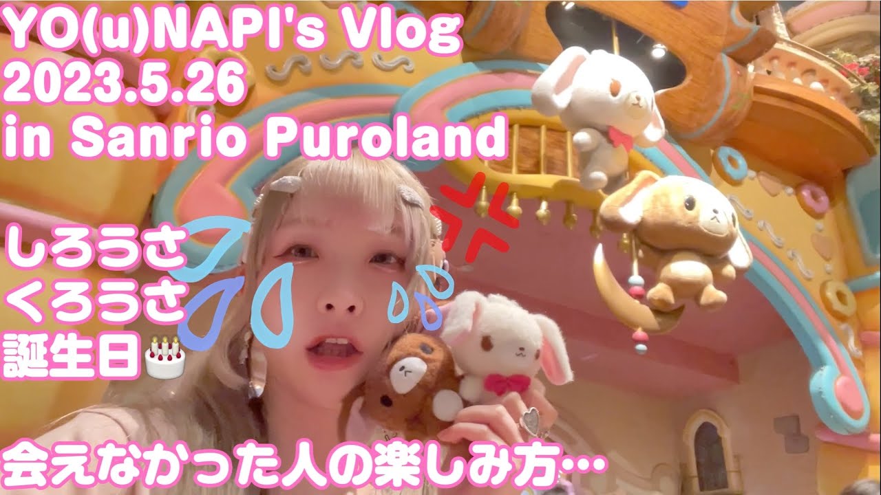 Vlog】シュガーバニーズしろうさくろうさ誕生日inサンリオ