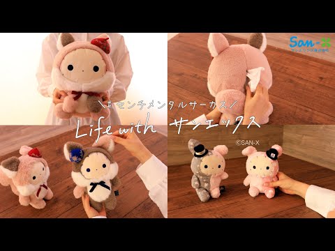 センチメンタルサーカス トト ころころコロニャ パンのあれ ぬいぐるみ