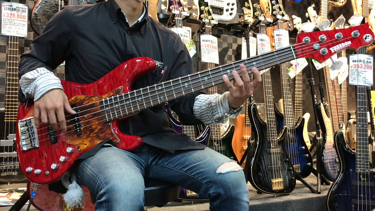 FREEDOM CUSTOM GUITAR RESEARCH Rhino 5st 