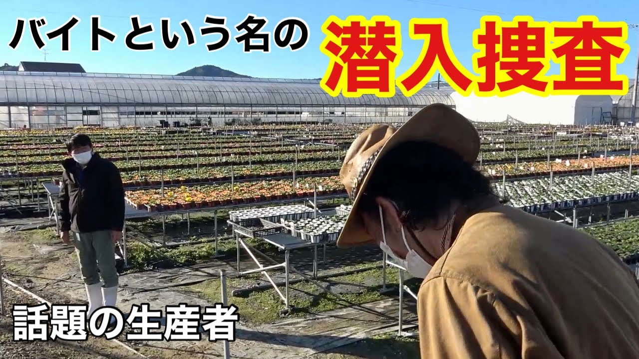 めんくん様 コウ様 やっ君さま 専用 専用 Motokun様 ZX｜製品紹介