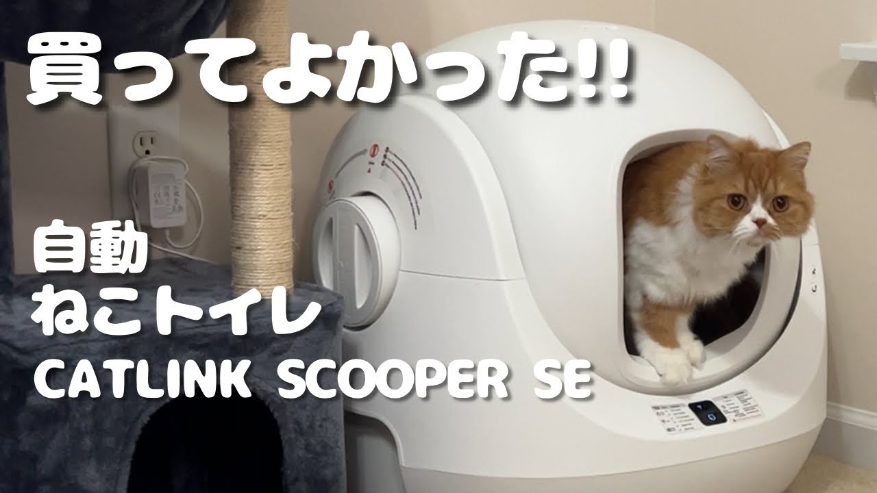CATLINK: Scooper SE Litter Box Review and Demo including