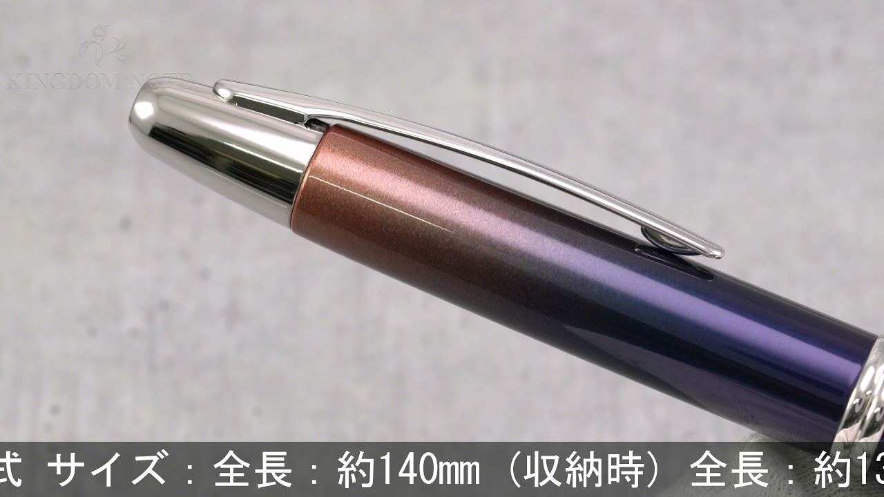 PILOT パイロット 万年筆 2020年限定 キャップレス ウィッシュ -wish