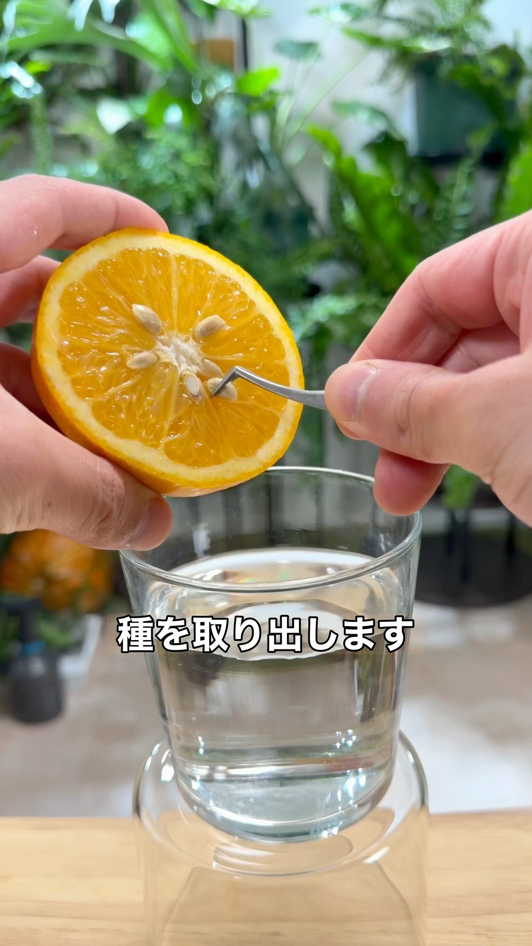 そらベジ🥝ガーデンハック - YouTube