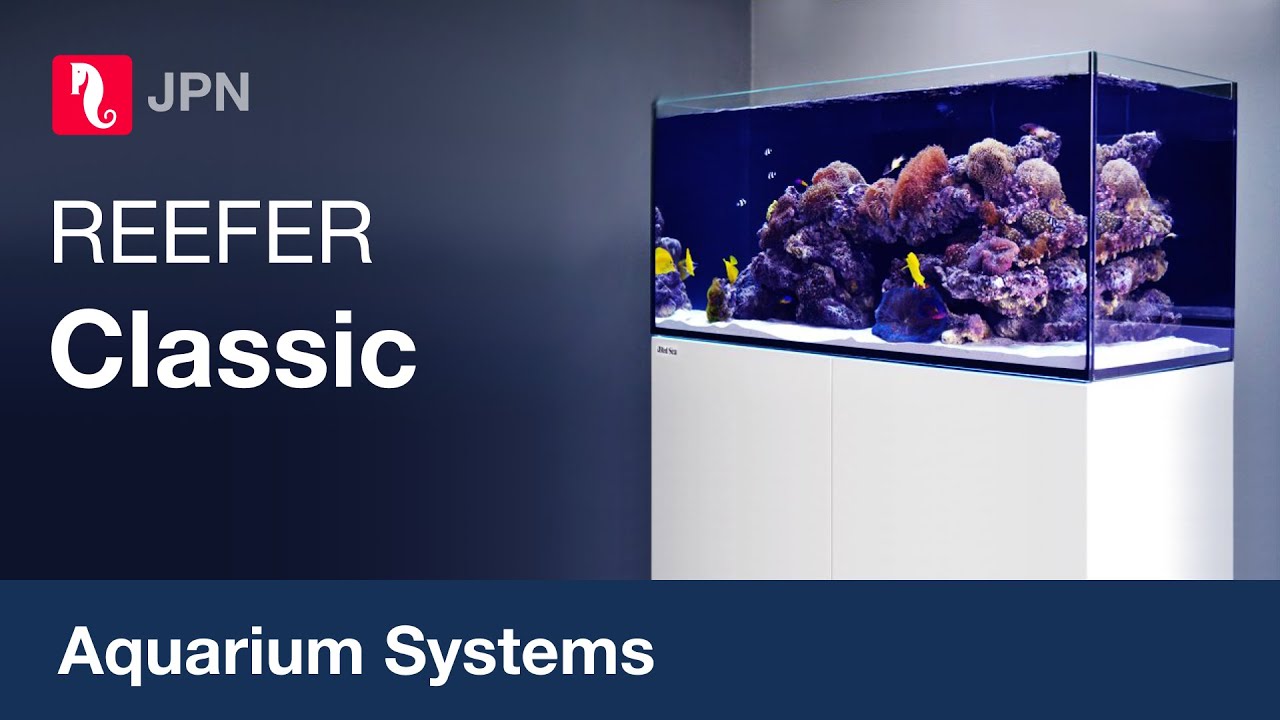 Bob(^^) レッドシー リーファーナノ オーバーフロー水槽 レッドシー