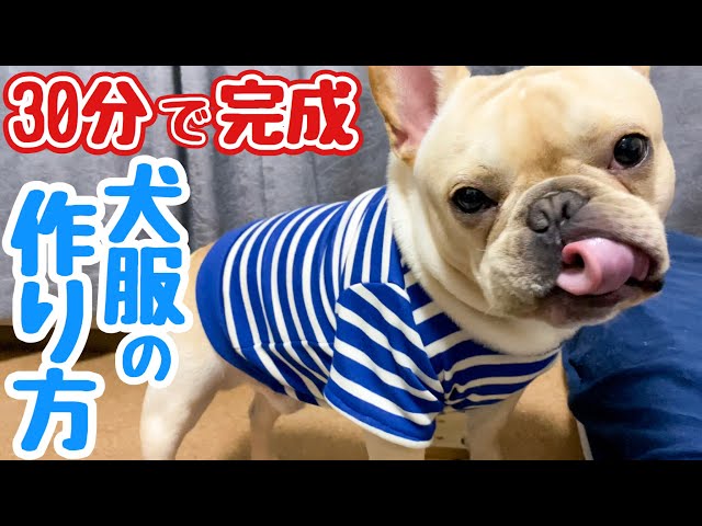 超簡単30分！子供服で簡単犬服リメイク！フレンチブルドッグのルーク